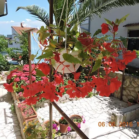 Lejlighed Ivanka Mali Lošinj