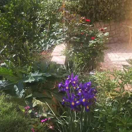 Apartment Ivanka Mali Lošinj